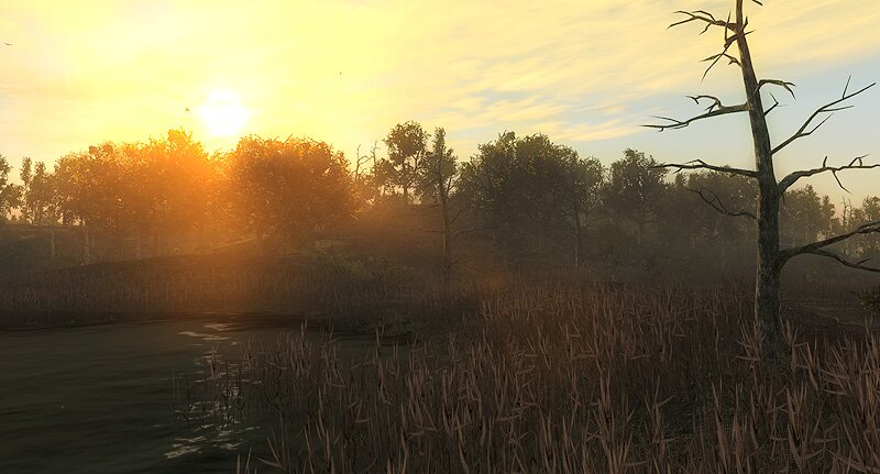 http://simuwelt.de/tl_files/Rondomedia/Games-Medien/simuwelt/The hunter 2014/swamp_reserve_03.jpg